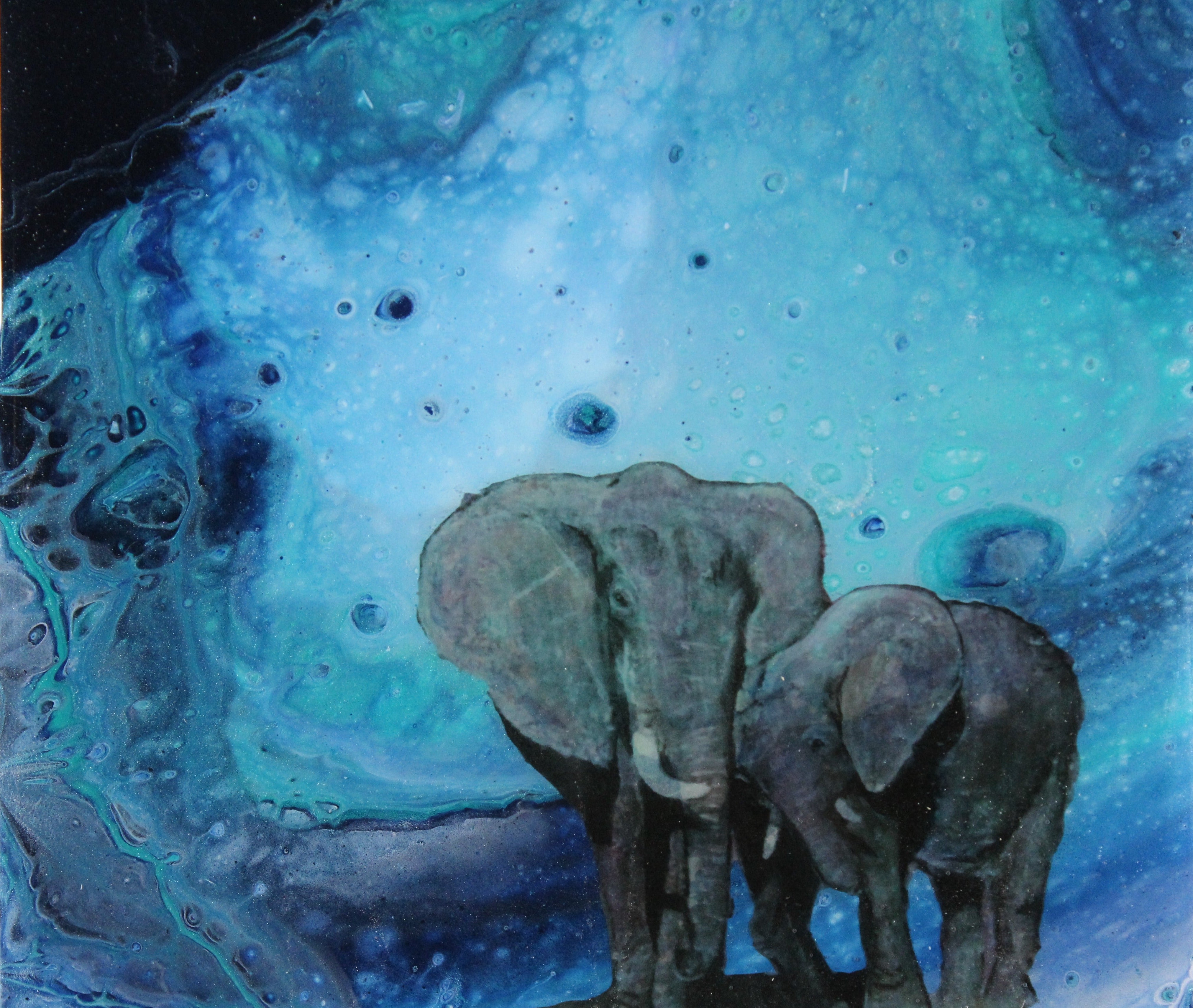 Abstract Elephant Series - Nuzzlers