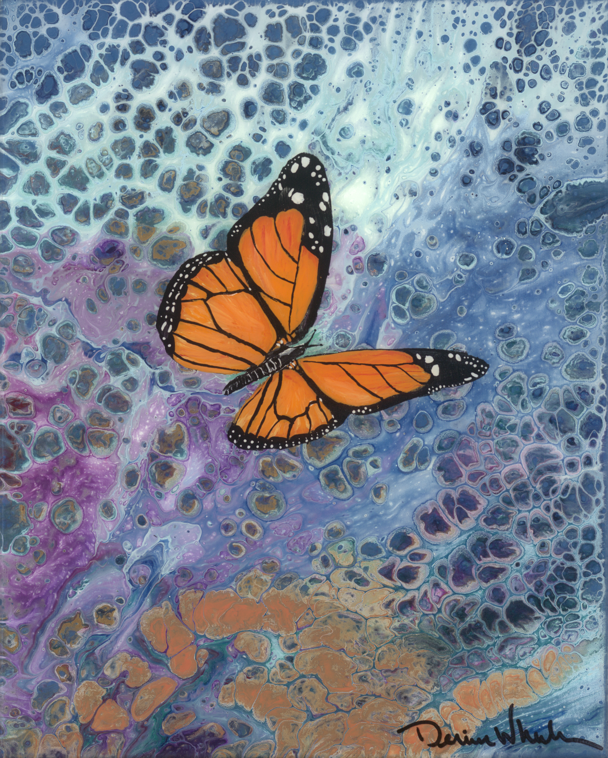 Monarch Butterfly - starting at $26